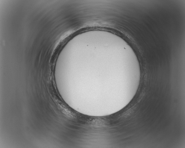 X0000076080974200610202036