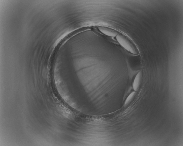 X0000076080975200610202036