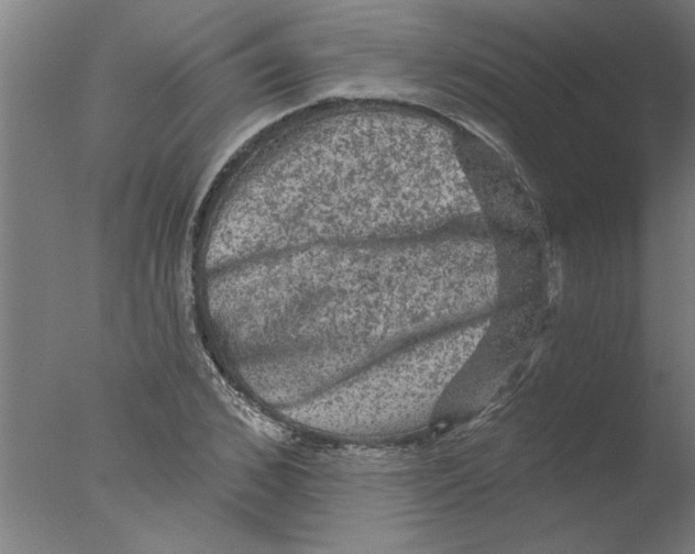 X0000076080976200610202036