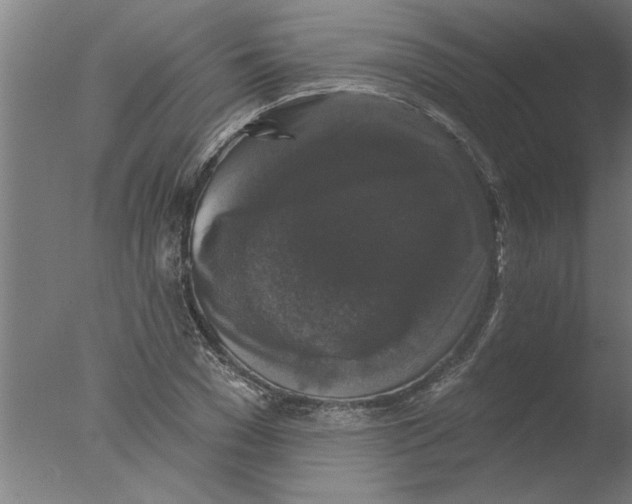 X0000076080977200610202036