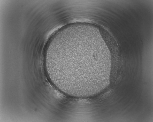 X0000076080979200610202036