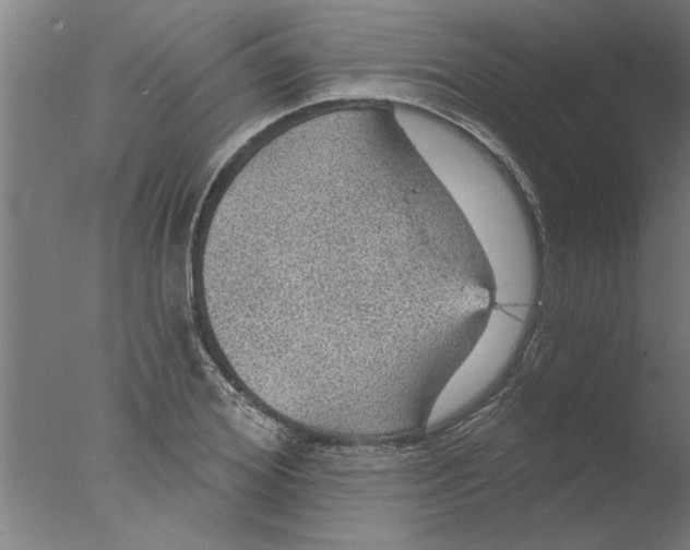 X0000076080980200610202036