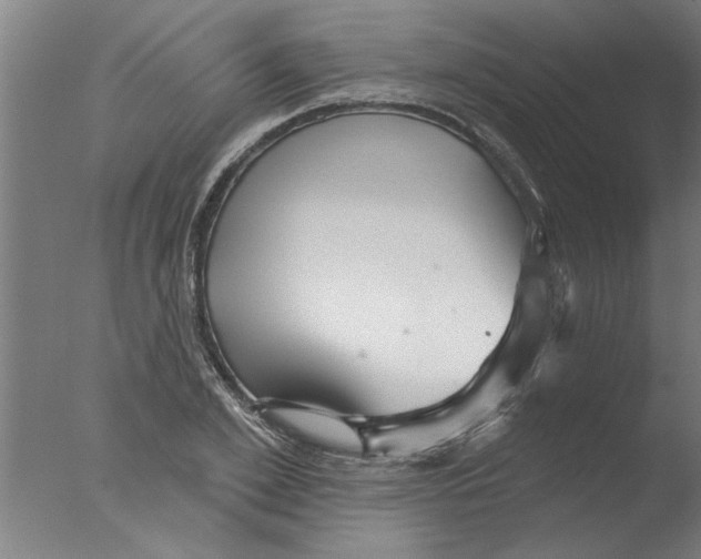 X0000076080981200610202036