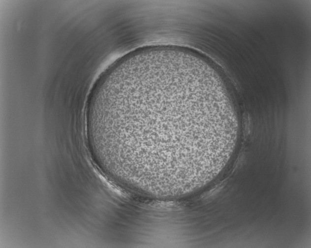 X0000076080982200610202036