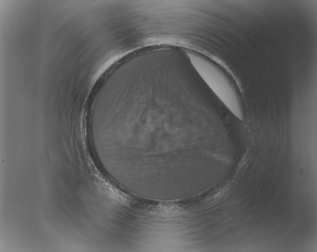 X0000076080983200610202036