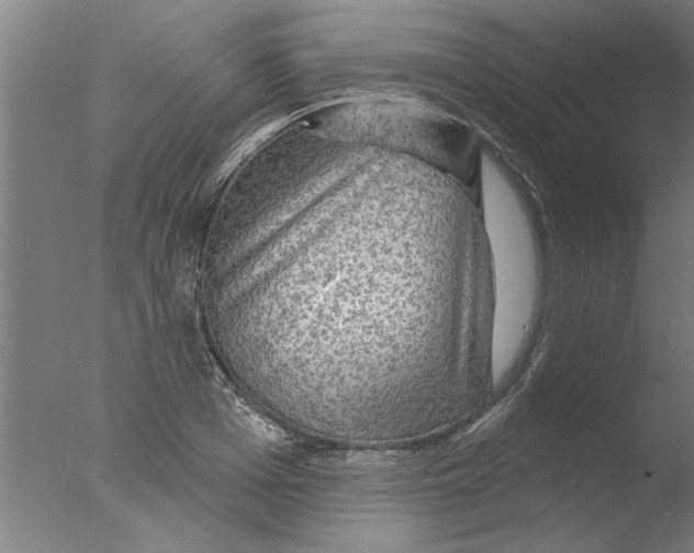 X0000076080985200610202036