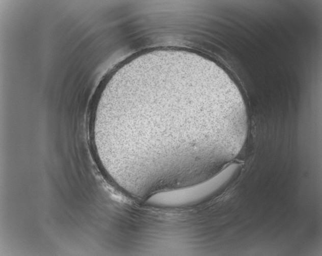 X0000076080987200610202036