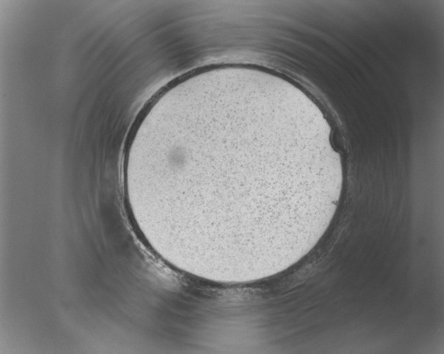 X0000076080988200610202036