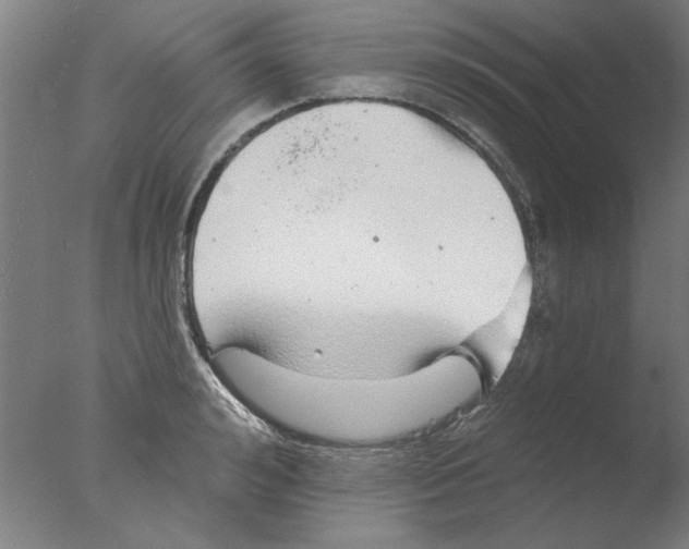 X0000076080992200610202035