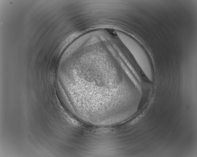 X0000076080993200610202035