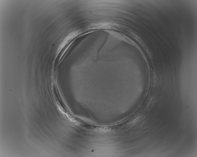 X0000076080994200610202035