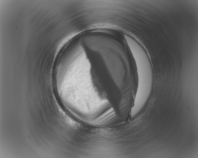 X0000076080995200610202035