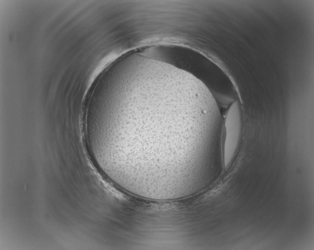 X0000076080997200610202035