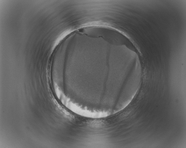 X0000076080998200610202035