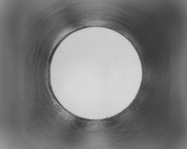 X0000076081000200610202035