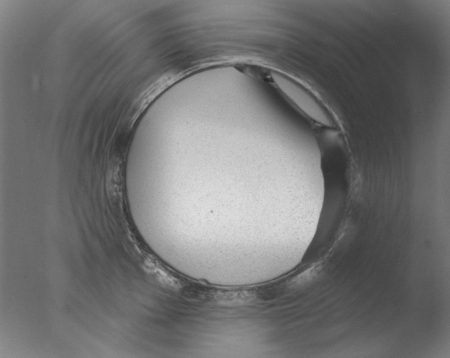 X0000076081001200610202035