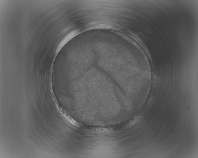 X0000076081002200610202035