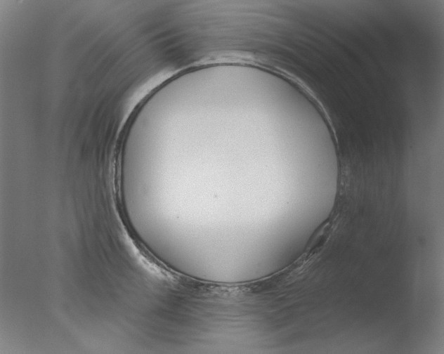 X0000076081003200610202035