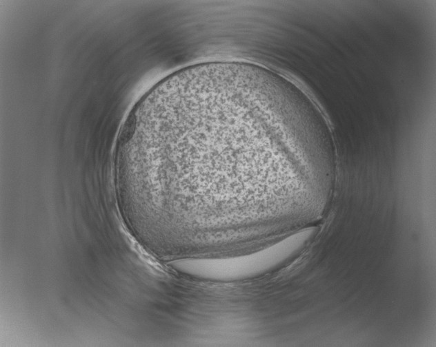 X0000076081004200610202035