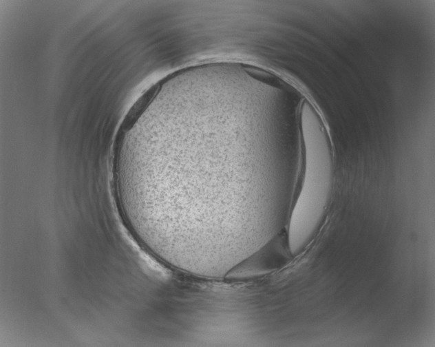 X0000076081005200610202035