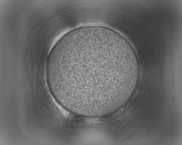 X0000076081006200610202035