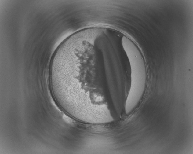 X0000076081007200610202035