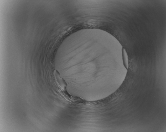 X0000076081009200610202034