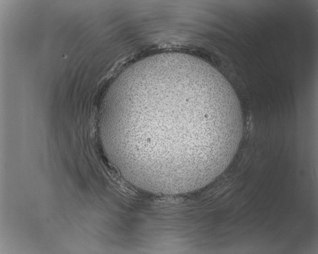 X0000076081012200610202034