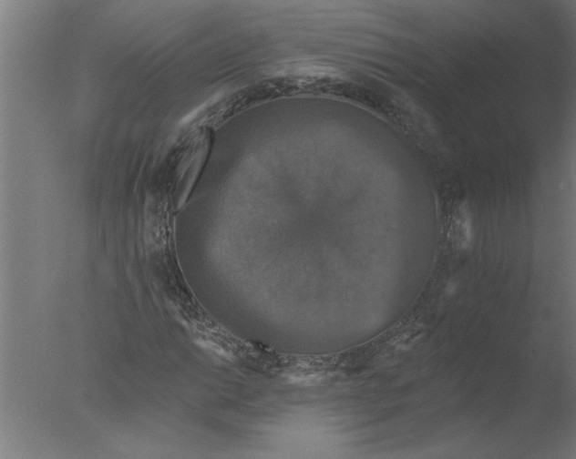 X0000076081014200610202034