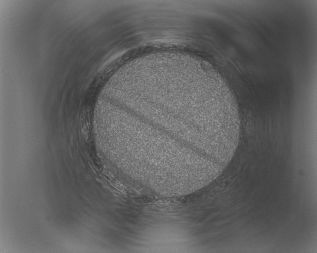 X0000076081015200610202034