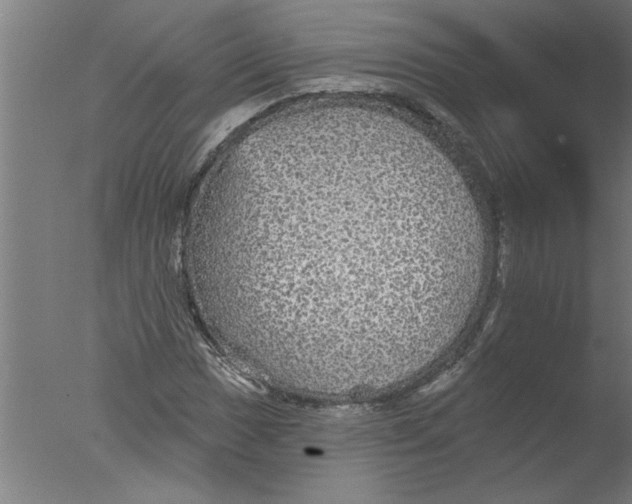 X0000076081017200610202035