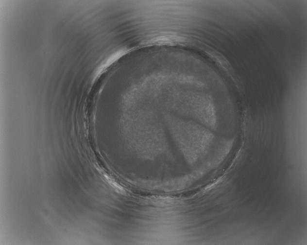 X0000076081018200610202035