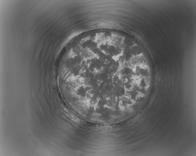 X0000076081019200610202035