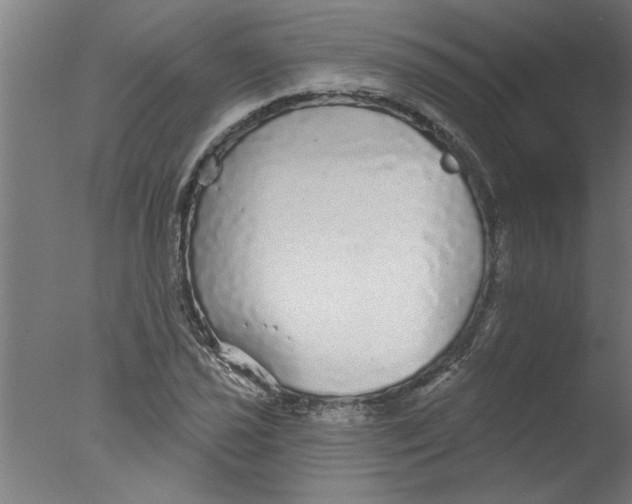 X0000076081021200610202035