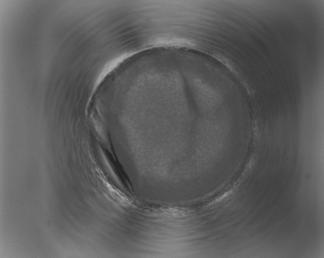 X0000076081022200610202035