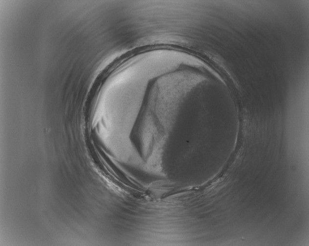 X0000076081024200610202035