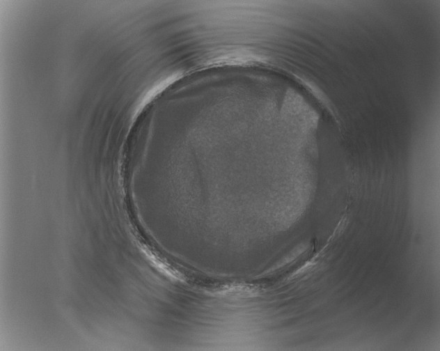 X0000076081026200610202035