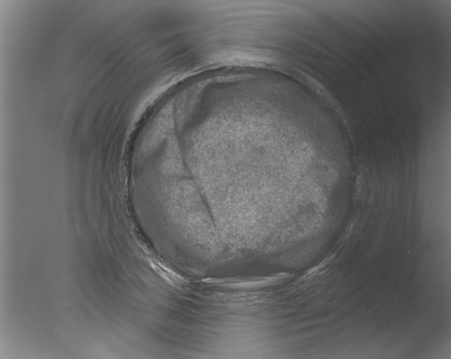 X0000076081027200610202035