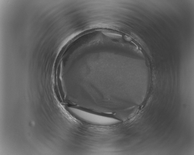 X0000076081028200610202035