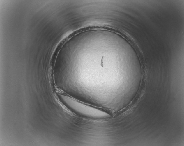 X0000076081029200610202035