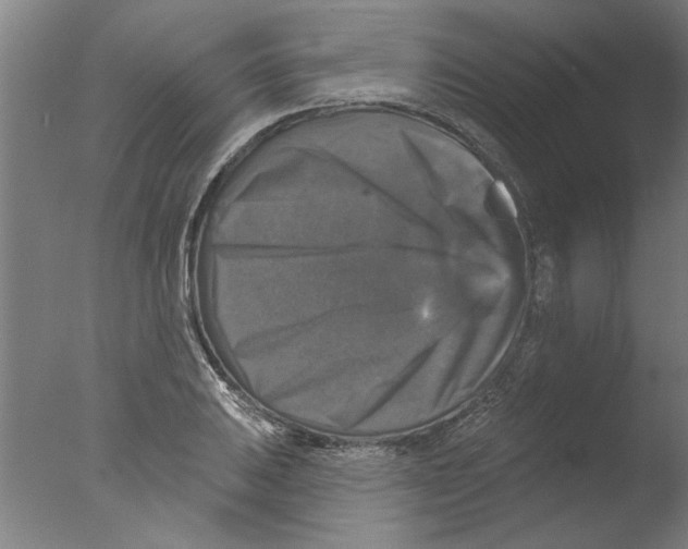 X0000076081031200610202035