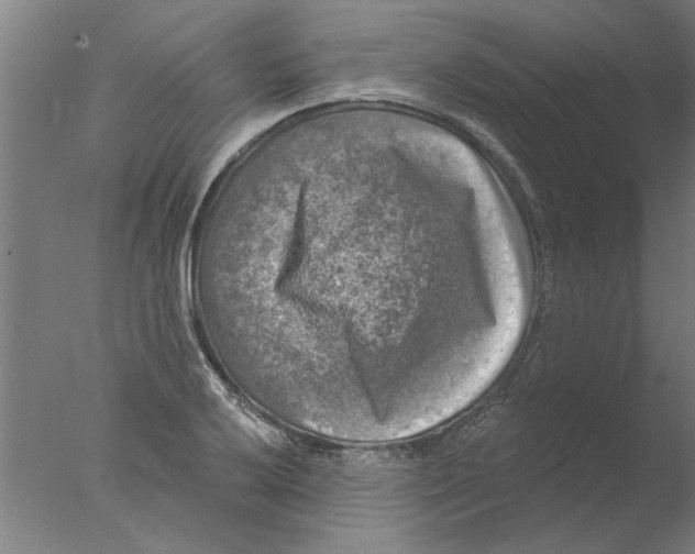 X0000076081032200610202035