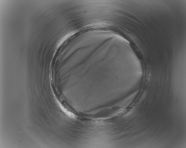 X0000076081034200610202035