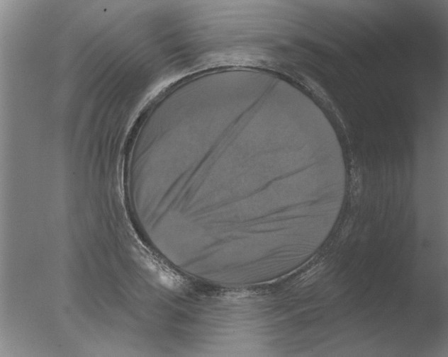 X0000076081035200610202035