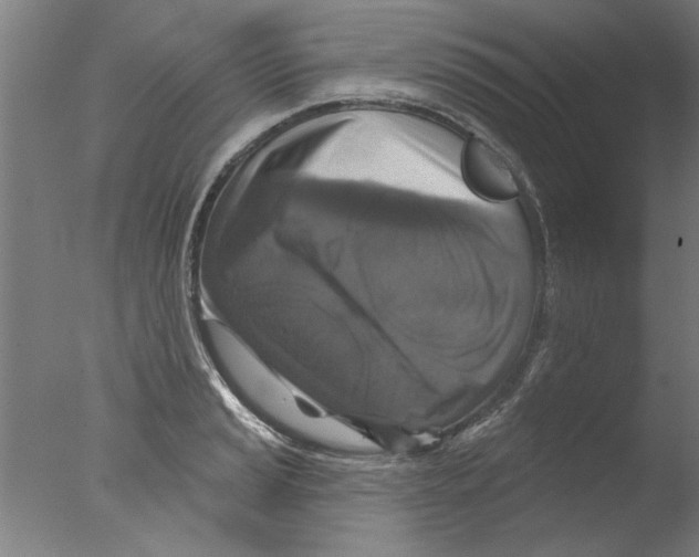 X0000076081037200610202035