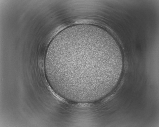 X0000076081041200610202035