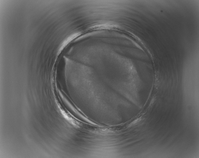 X0000076081042200610202035