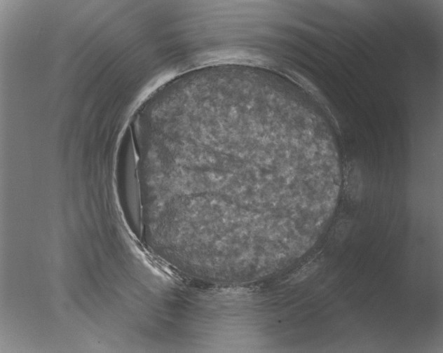 X0000076081043200610202035