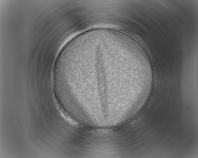 X0000076081044200610202035