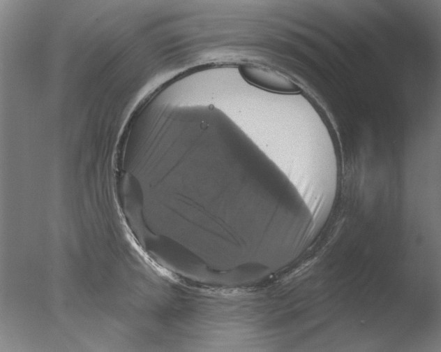 X0000076081045200610202035